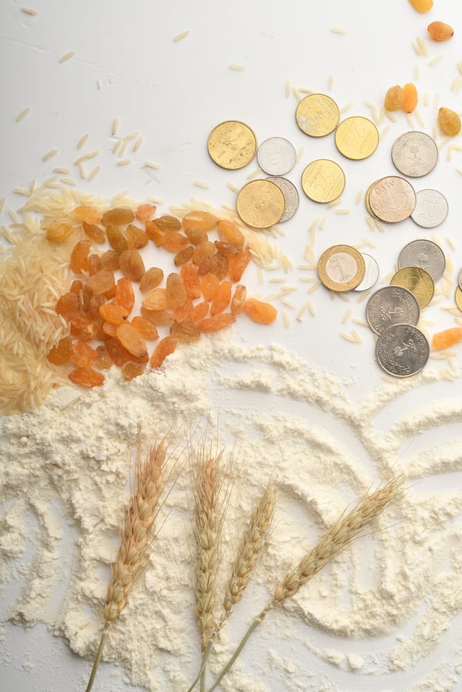 Flour,,Wheat,,Rice,,Raisins,And,Coins,On,A,White,Background